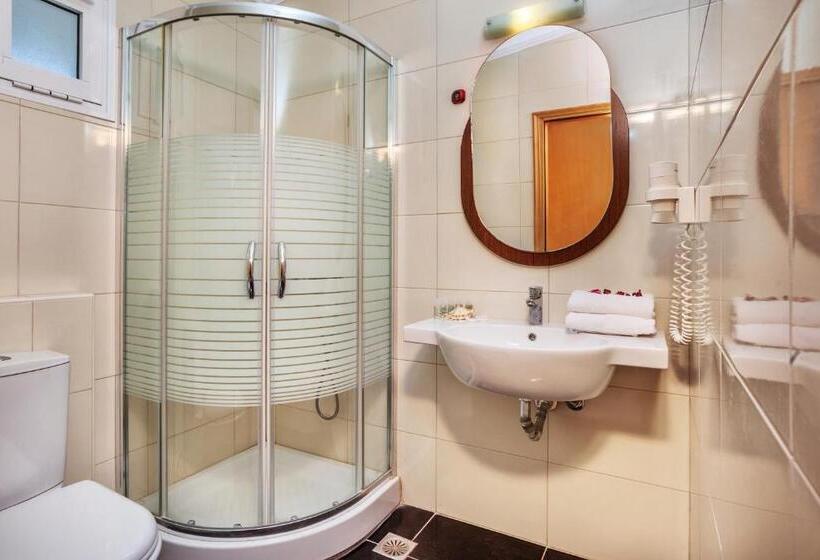 舒适型房间, Iris