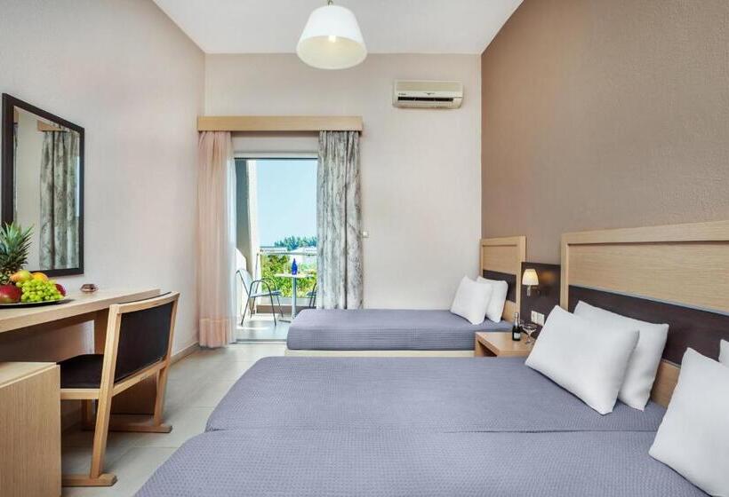 标准三人间, Iris