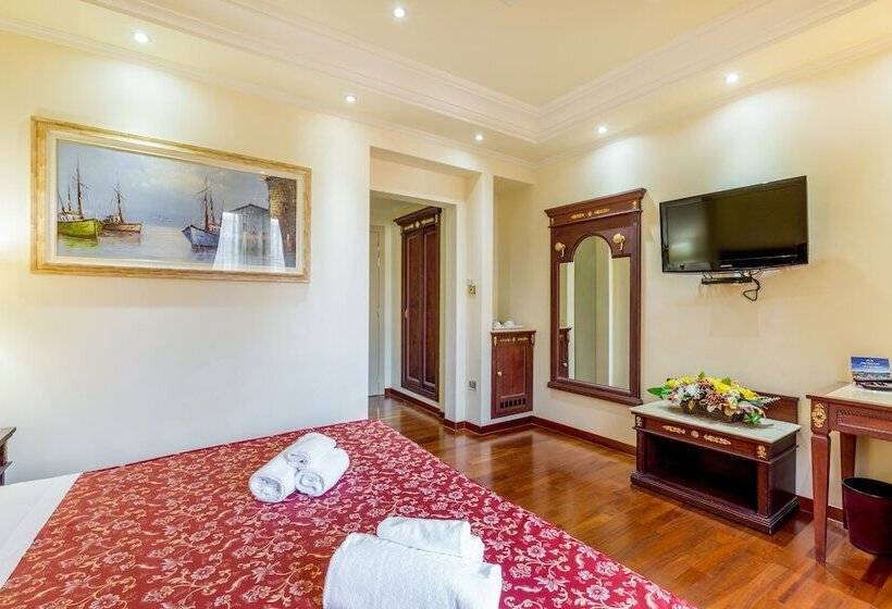 غرفة قياسية, Panorama