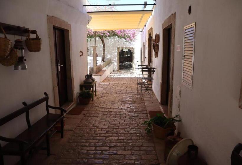 اتاق استاندارد, Os Agostos