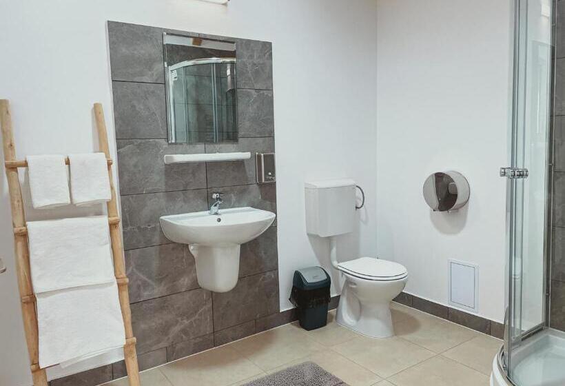 اتاق استاندارد با بالکن, Pensiunea Ocna Maramuresului