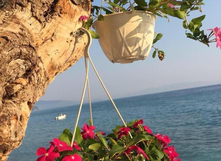 דירה בת חדר שינה 1 עם מרפסת, Villa John