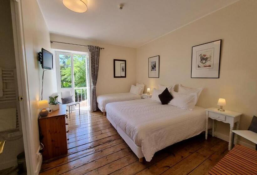 프리미엄 룸, Le Rodin Bazas