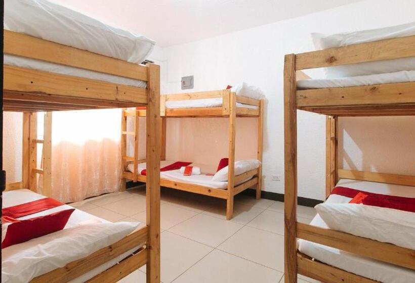 家庭间, Reddoorz Plus Near Tambo Paranaque