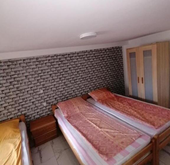 آپارتمان 1 خوابه همکف, Apartmani Rajkovic