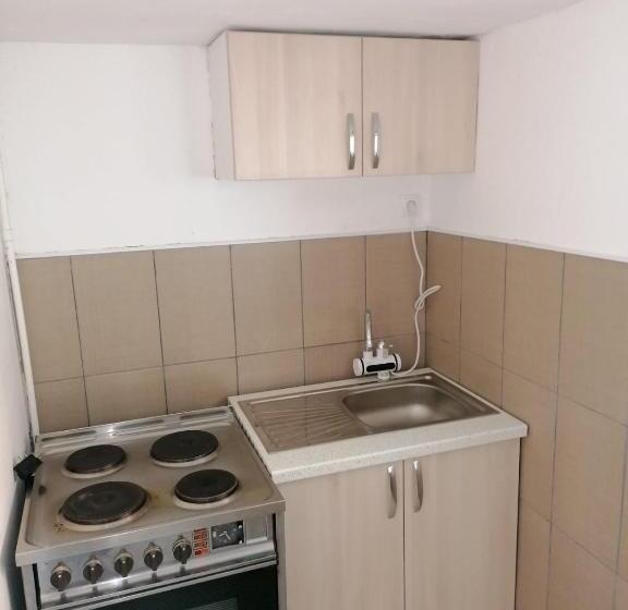 آپارتمان 1 خوابه همکف, Apartmani Rajkovic