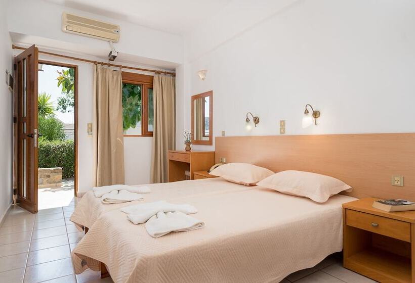 スタンダードルーム, Adonis