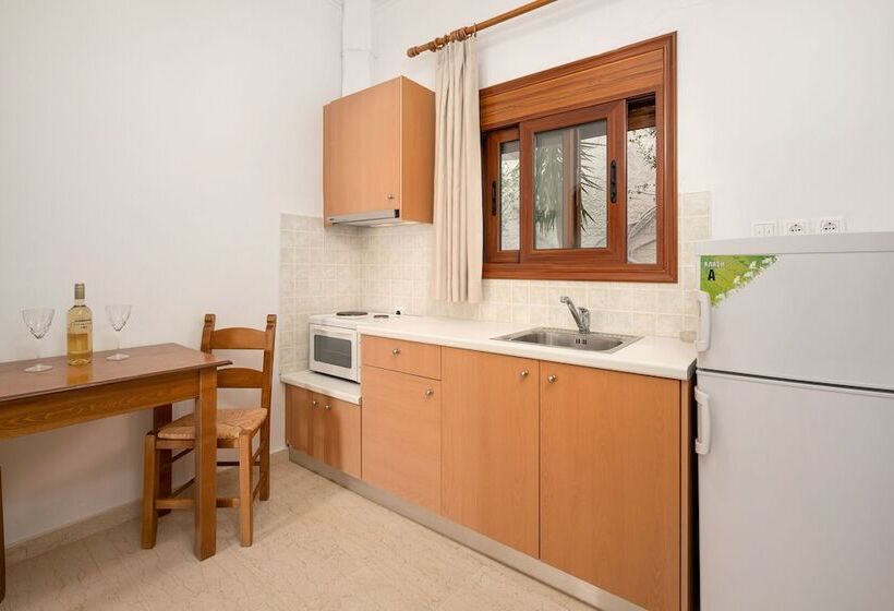 海の見えるスタンダードスタジオ, Adonis