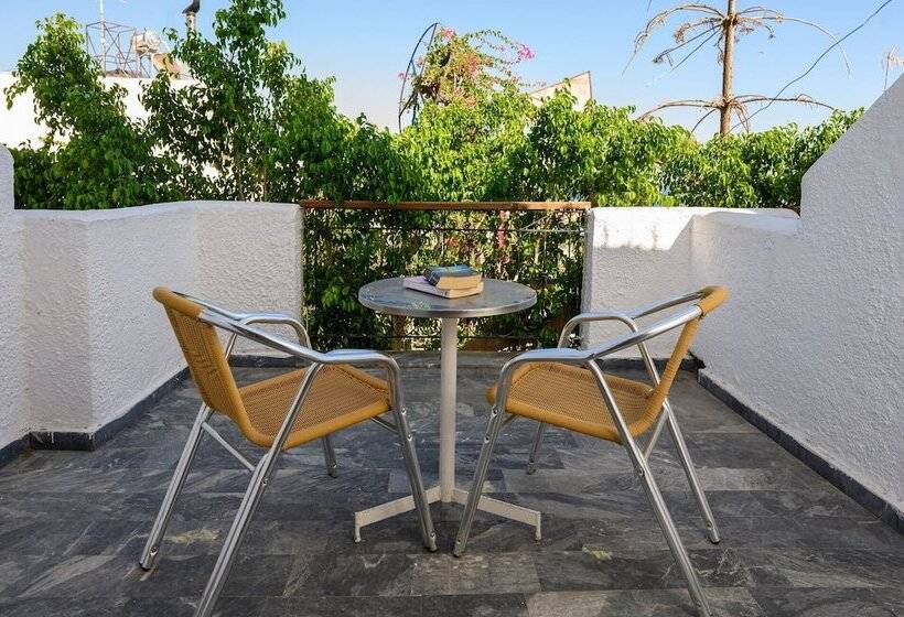 海の見えるスタンダードスタジオ, Adonis