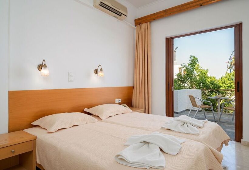 海の見えるスタンダードスタジオ, Adonis