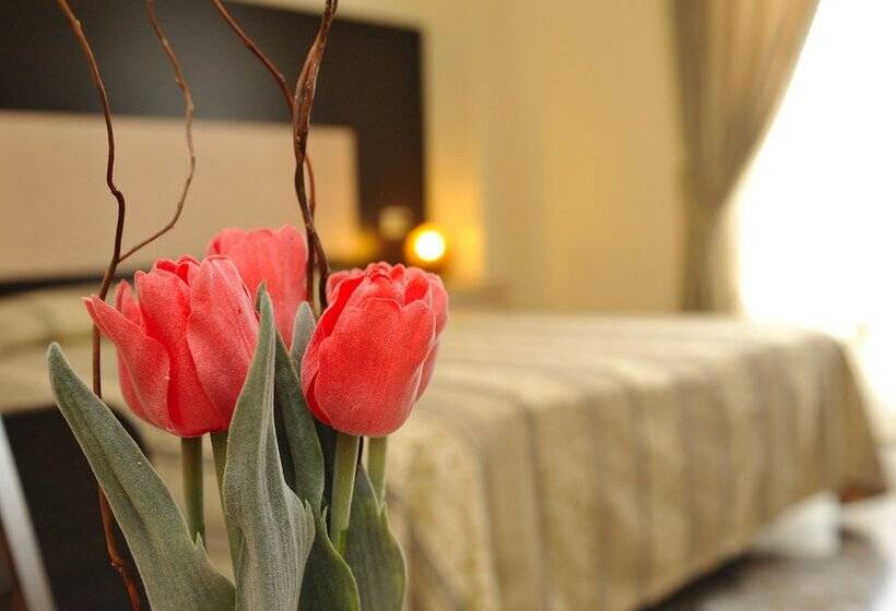 غرفة قياسية, Gabbiano