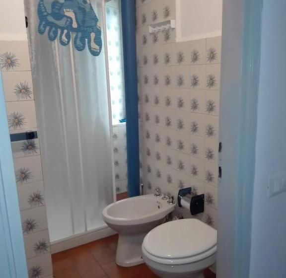 带露台的单人间, Isola Bi