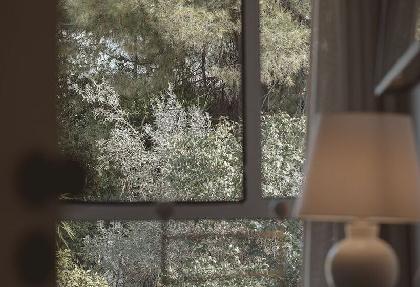 غرفة قياسية, Le Sud