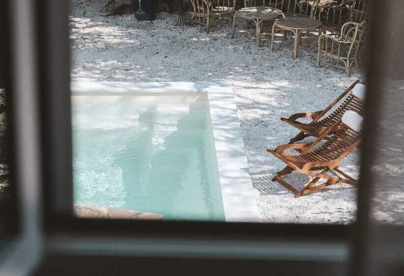 غرفة قياسية, Le Sud