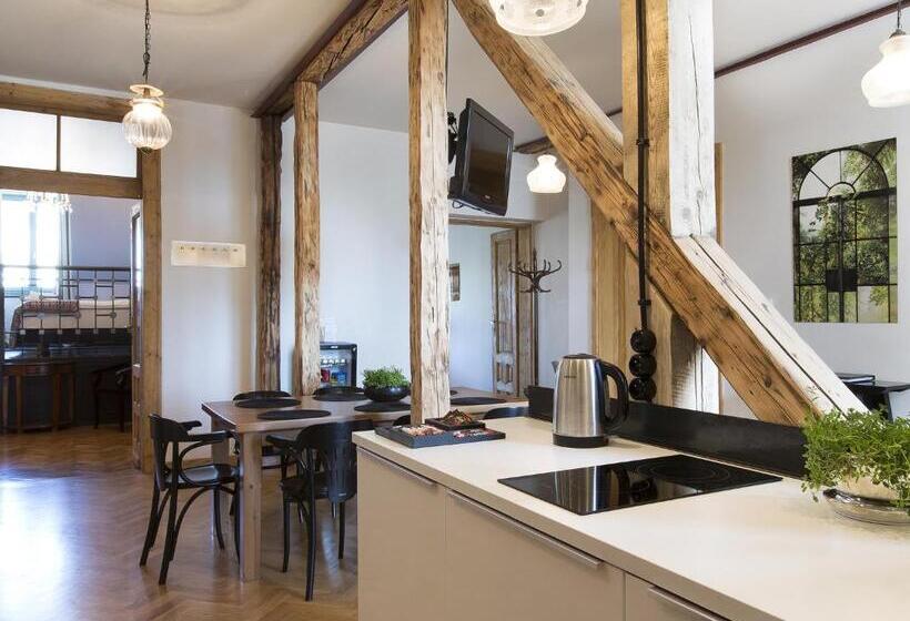 Апартаменты 4 Спальни, Antique Apartments Plac Szczepański