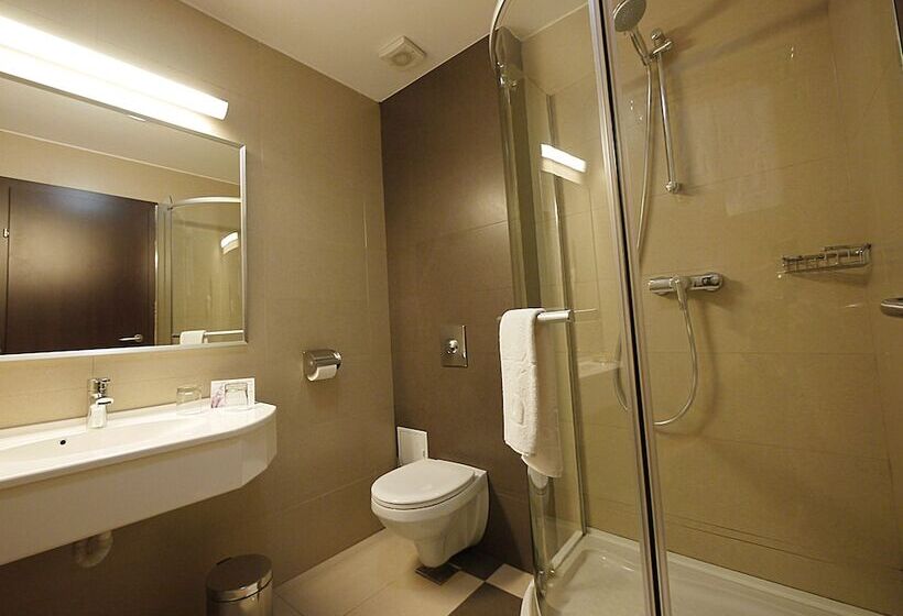 اتاق استاندارد یک نفره, Berthelot