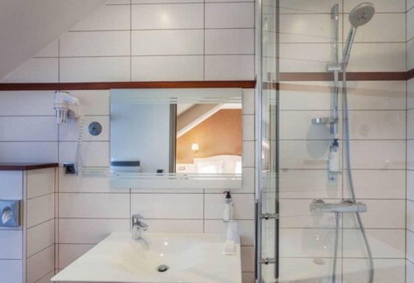 اتاق سوپریور, Best Western Le Duguesclin Hôtel Restaurant