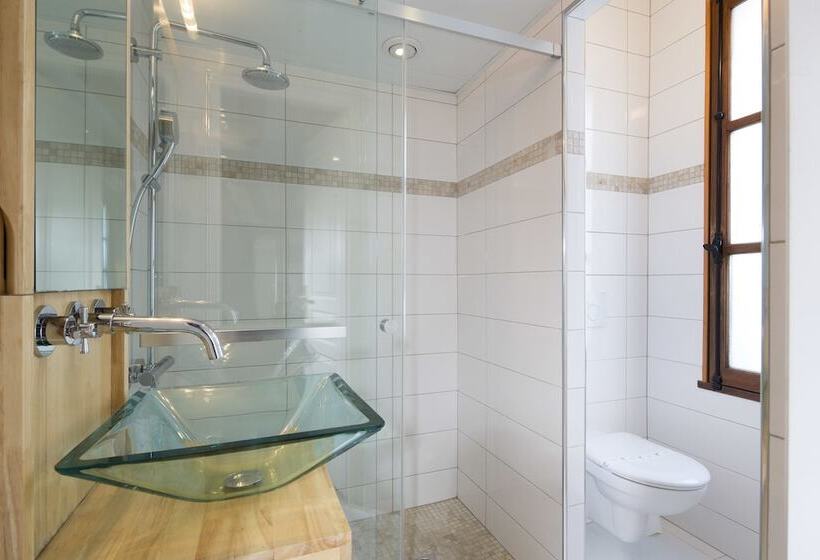 スタンダードスタジオ, Du Lion D Or Louvre