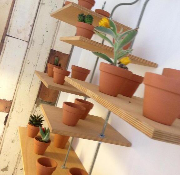 غرفة كومفورت, De La Pinède