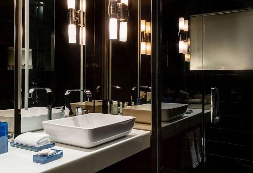 스탠다드 룸 더블 침대 2개, Hyatt Centric Wall Street New York