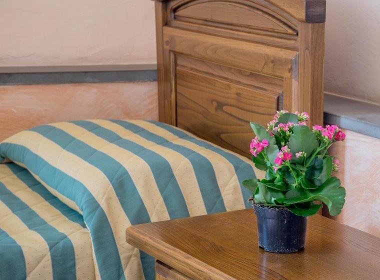 اتاق استاندارد چهار تخته, Monica