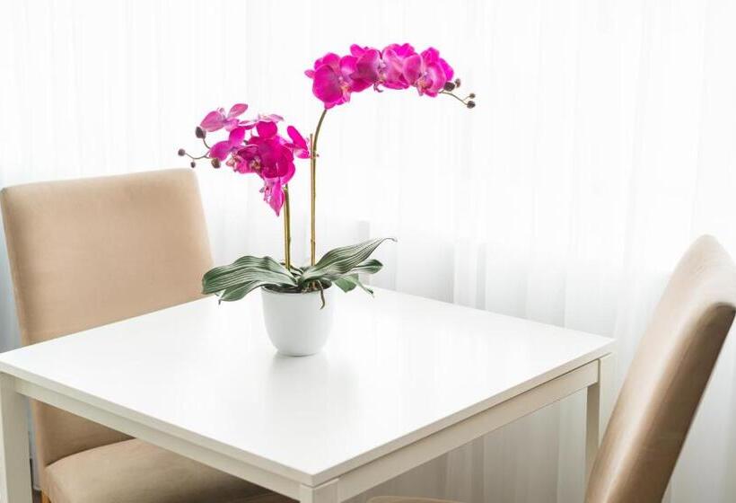 1 Bedroom Penthouse Apartment, Park Lane Boutique Apart