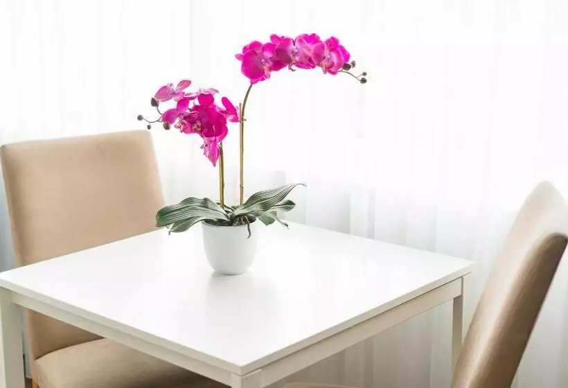 1 Bedroom Penthouse Apartment, Park Lane Boutique Apart