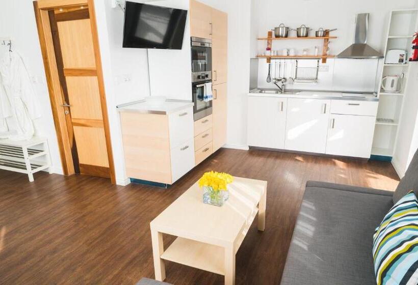 1 Bedroom Penthouse Apartment, Park Lane Boutique Apart