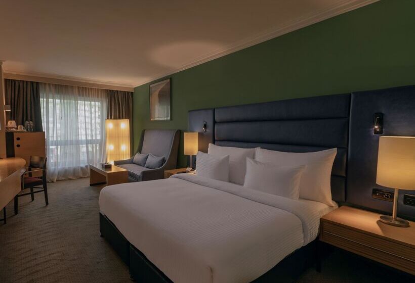 سوییت جونیور, Radisson Blu Hotel, Cairo Heliopolis