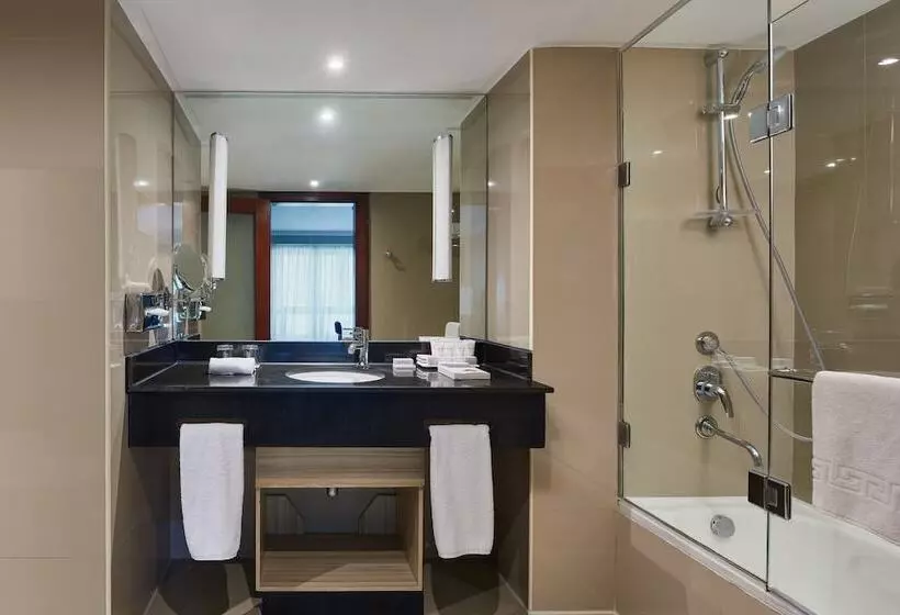 سوییت جونیور, Radisson Blu Hotel, Cairo Heliopolis