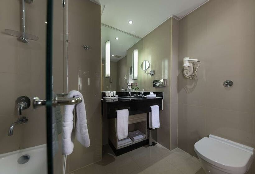 اتاق اجرایی, Radisson Blu Hotel, Cairo Heliopolis