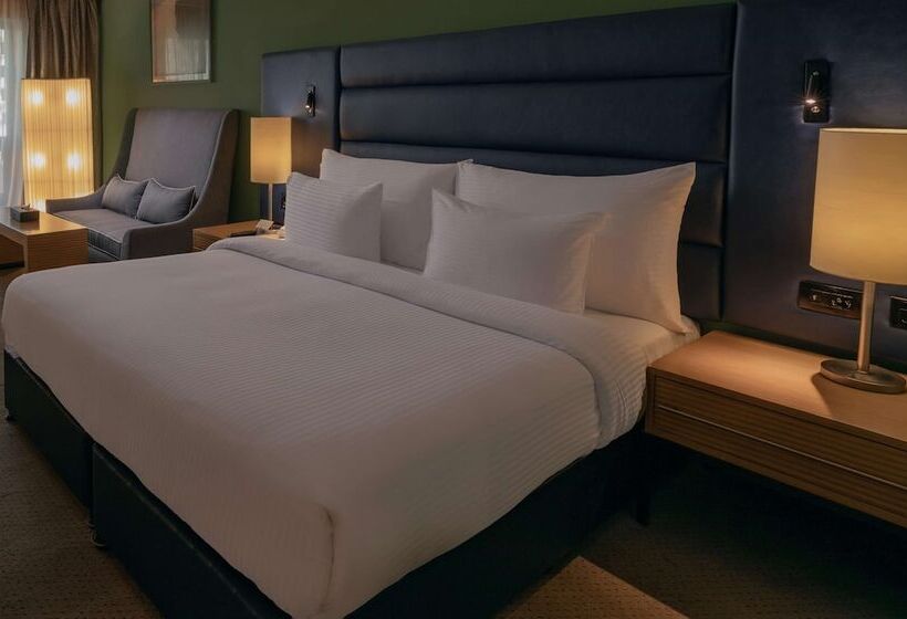 اتاق اجرایی, Radisson Blu Hotel, Cairo Heliopolis