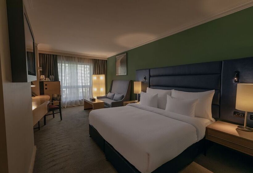اتاق اجرایی, Radisson Blu Hotel, Cairo Heliopolis