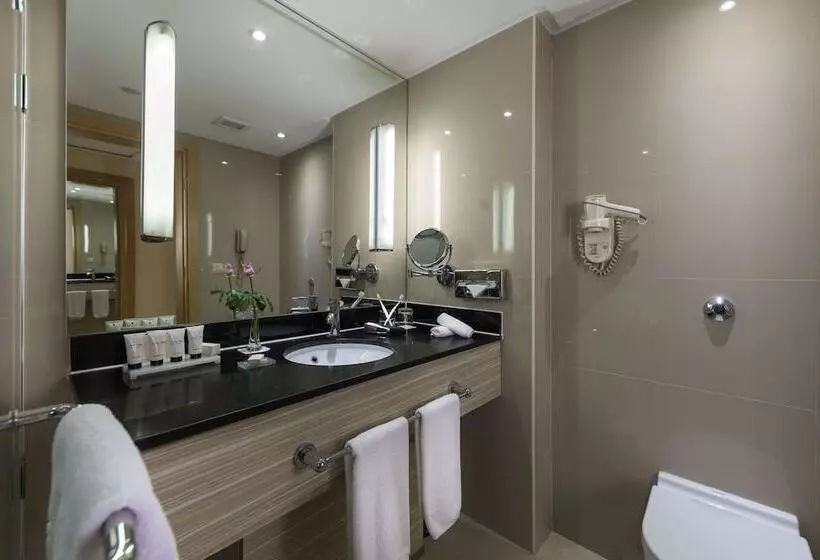 سوییت, Radisson Blu Hotel, Cairo Heliopolis