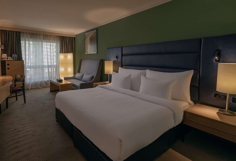 اتاق اجرایی, Radisson Blu Hotel, Cairo Heliopolis