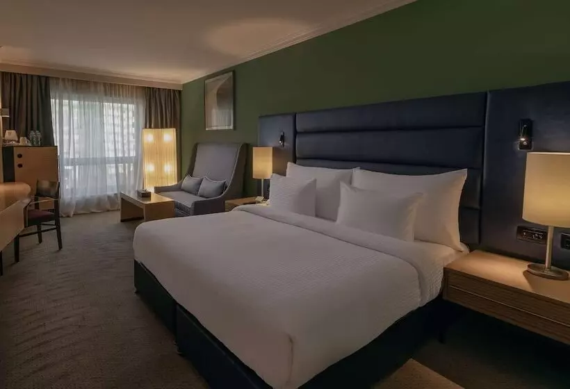 اتاق اجرایی, Radisson Blu Hotel, Cairo Heliopolis