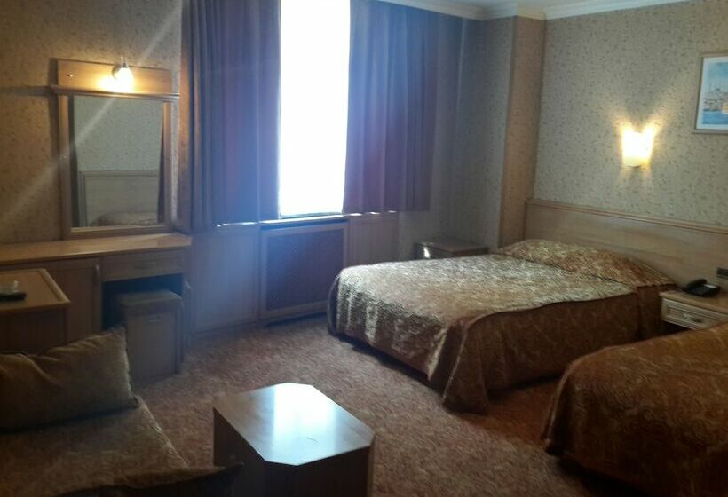 اتاق استاندارد سه نفره, Bristol