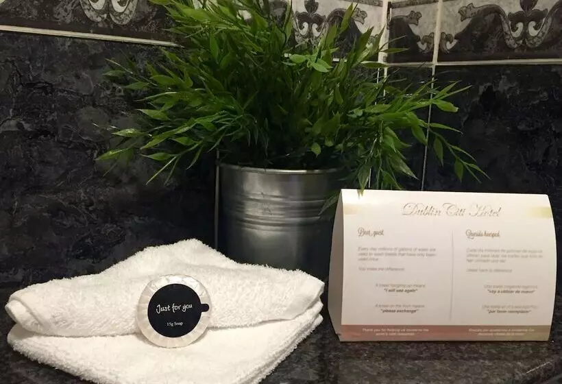 اتاق استاندارد یک نفره, Dublin Citi Hotel Of Temple Bar