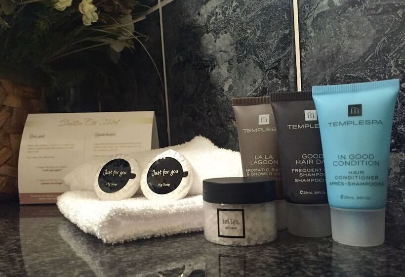 豪华房间, Dublin Citi Hotel Of Temple Bar