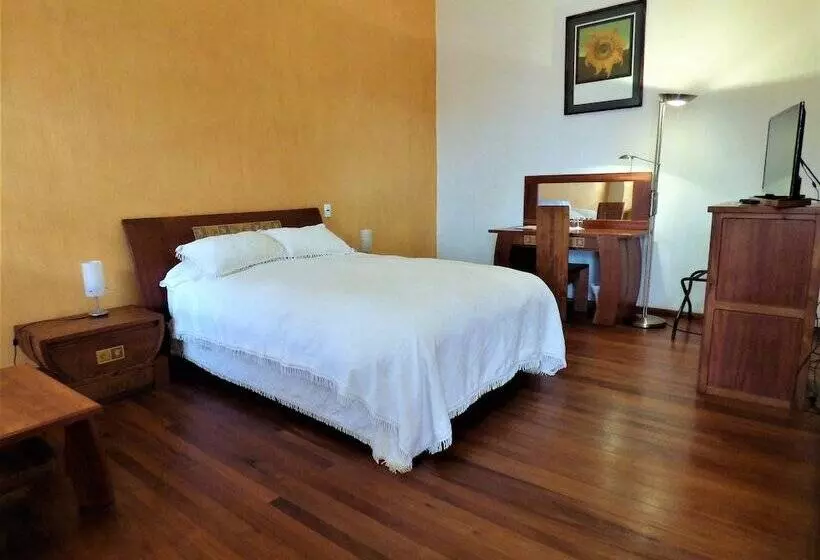 اتاق استاندارد یک نفره, Villa Antigua