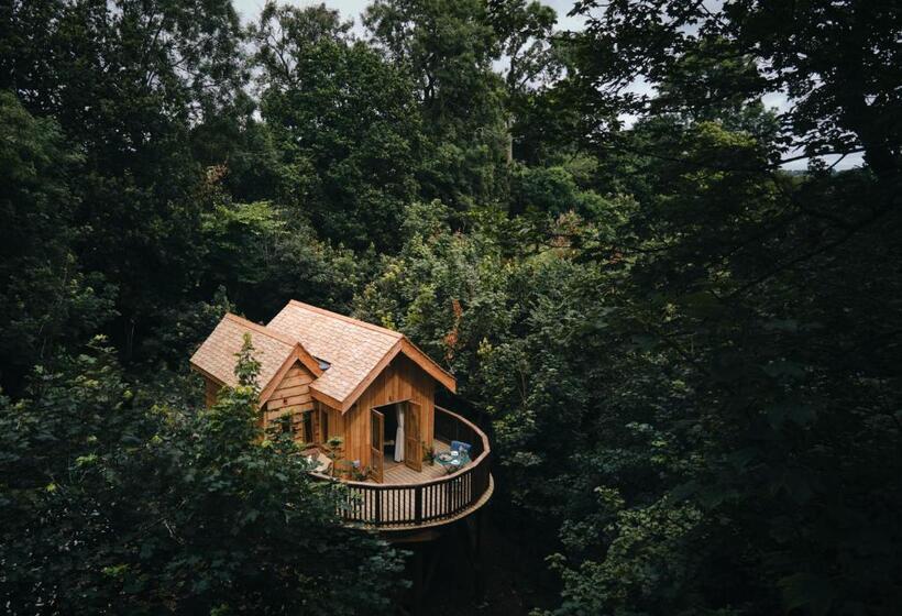 Шале 1 Спальня, Wildhive Callow Hall