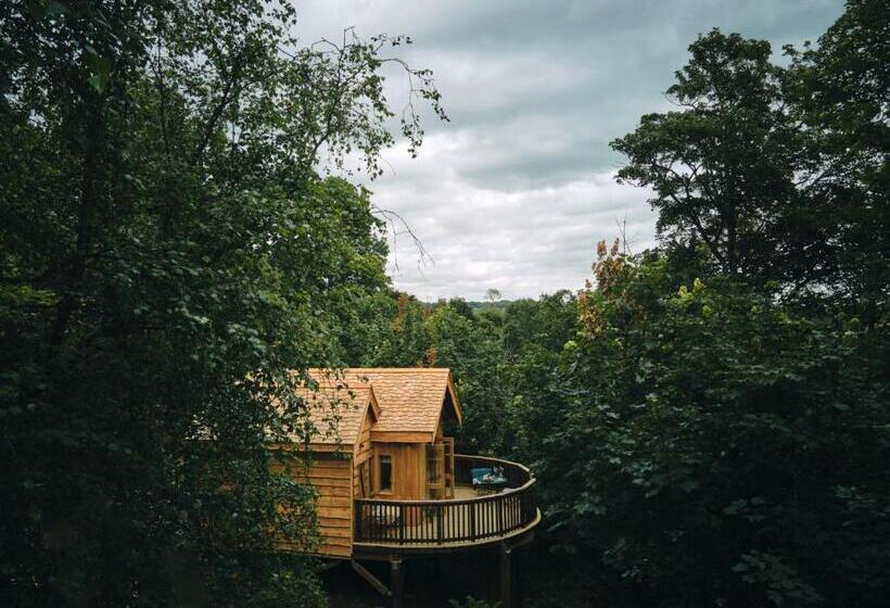 کلبه ییلاقی, Wildhive Callow Hall