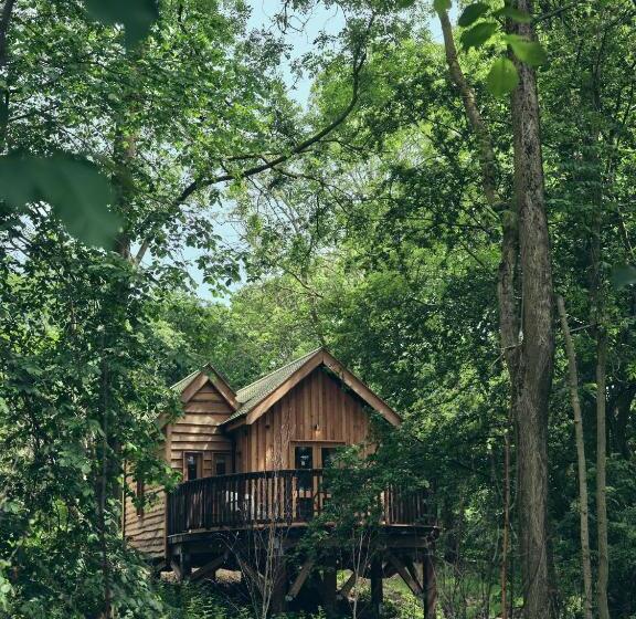 کلبه ییلاقی, Wildhive Callow Hall