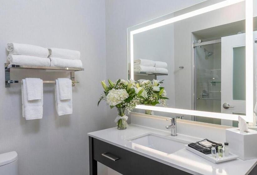 身障者適用キングサイズベッドルーム, Cambria Hotel Copper Mountain