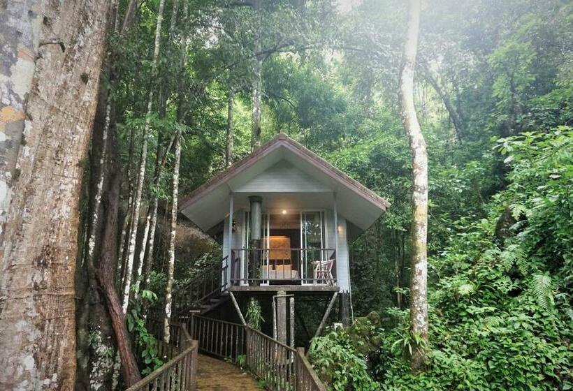 בקתה סטנדרטית, Rock And Tree House Resort