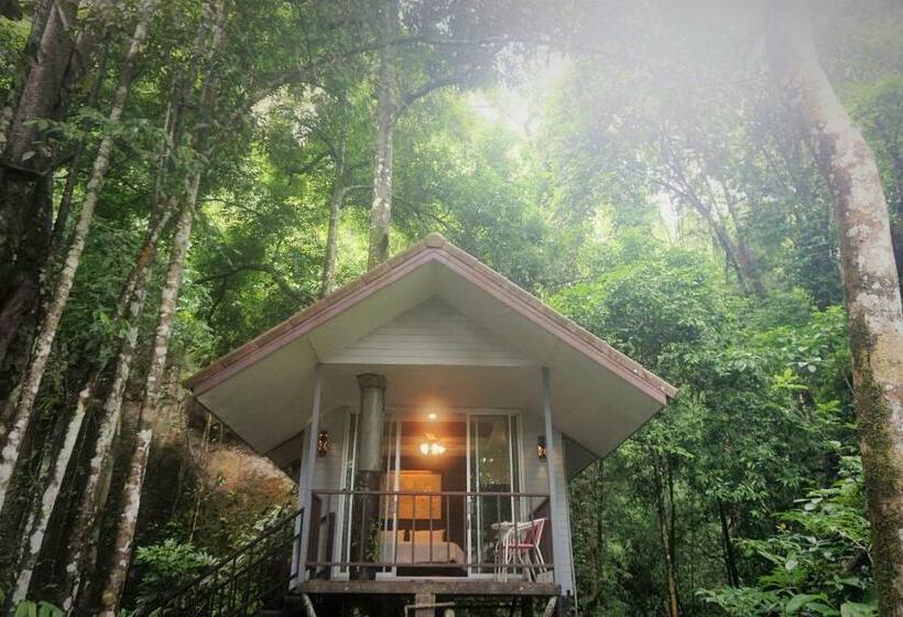Бунгало Стандарт, Rock And Tree House Resort