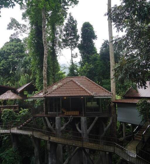 בונגלו משפחתי, Rock And Tree House Resort