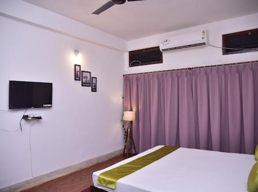 Camera Deluxe, Solace Garden