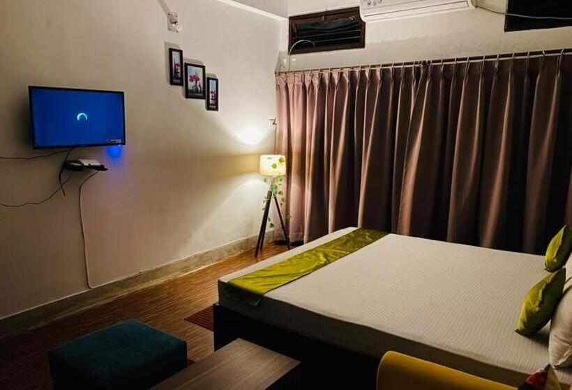 Camera Deluxe, Solace Garden