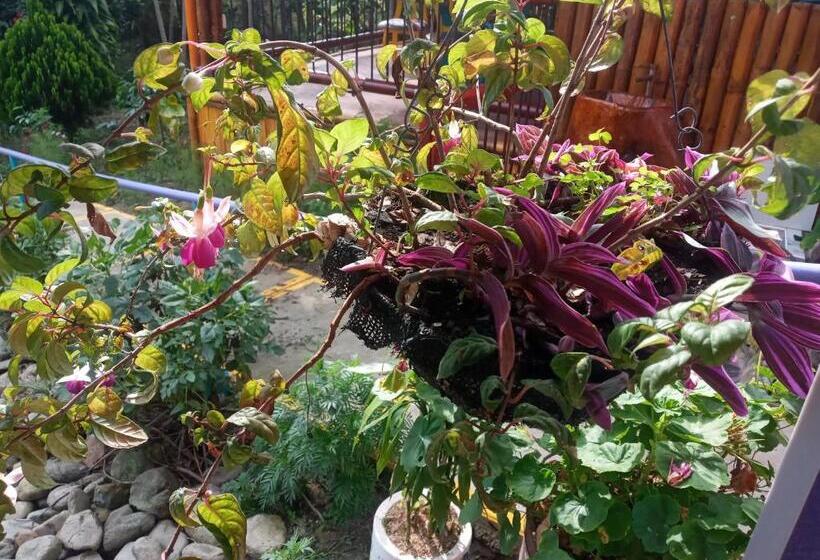 Standardzimmer, Finca San Miguel Filandia